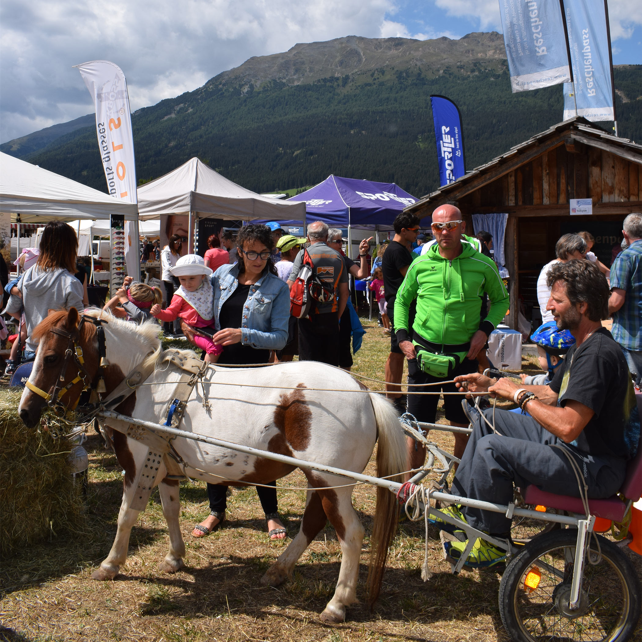 Programma in evidenza